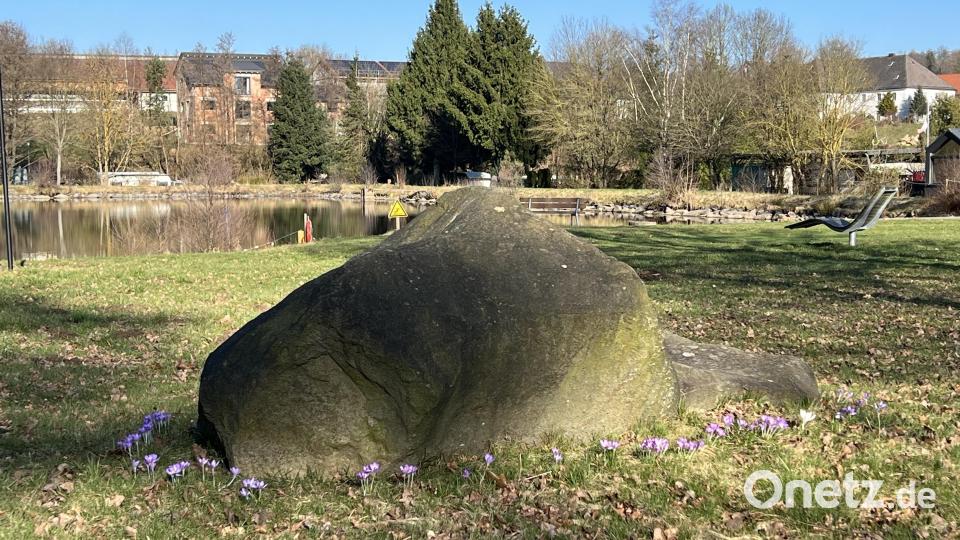 Ein Blütenband umfasst die Steine auf der Badewiese. Bild: nza