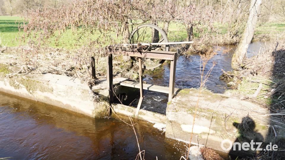 Wehranlagen, wie hier an der Herrnmühle in Erbendorf, können einen Einfluss auf das Fließverhalten des Flusses haben. Bild: kaz