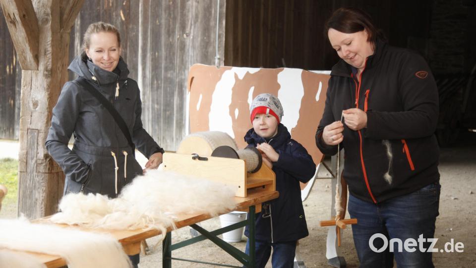 Zur Saisoneröffnung im Freilandmuseum Oberpfalz dürfen die Besucher Hand anlegen beim Waschen, Rupfen und Kardieren der Schafwolle und anschließend den Spinnerinnen beim Verarbeiten der Stränge zuschauen. Bild: Hirsch