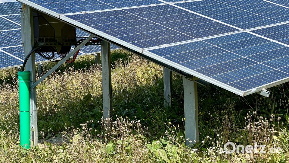 Das Dorf Störnstein könnte innerhalb kurzer Zeit drei Solarparks an seinen Rändern bekommen; die Weidener Enmag hat die Pläne für ihr zweites Projekt am Gügel vorgestellt. Symbolbild: Eichl