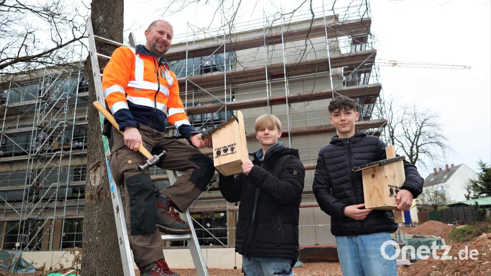 Pestalozzischüler bauen Nistkästen für Vögel im Stadtgebiet Bild: Pressestelle Stadt Weiden i.d.OPf./exb