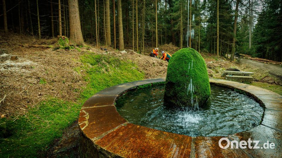 Der Spritzbrunnen am Fuße der Kösseine erhält durch die Maßnahme wieder mehr Licht. Bild: Martin Hertel/exb
