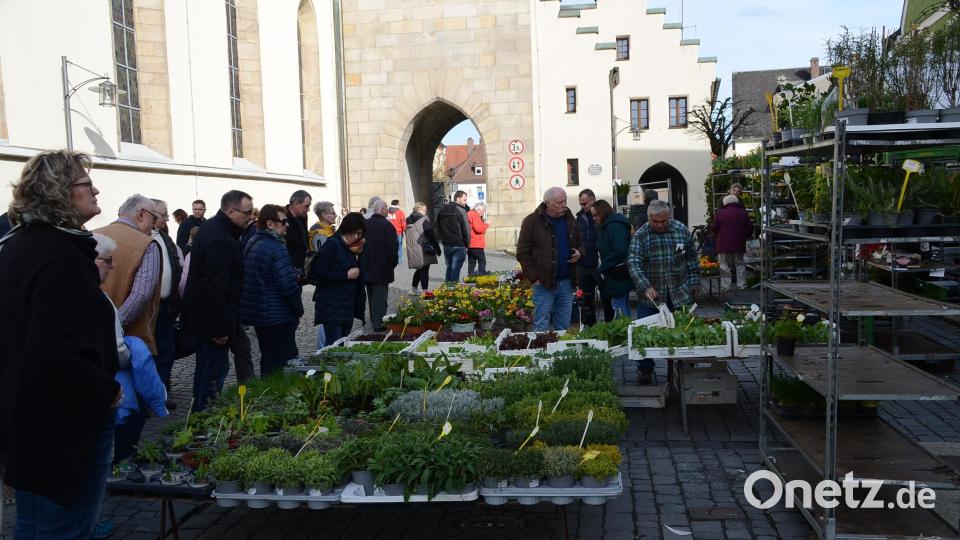 Pflanzen standen bei den Marktbesuchern hoch im Kurs. Bild: ak