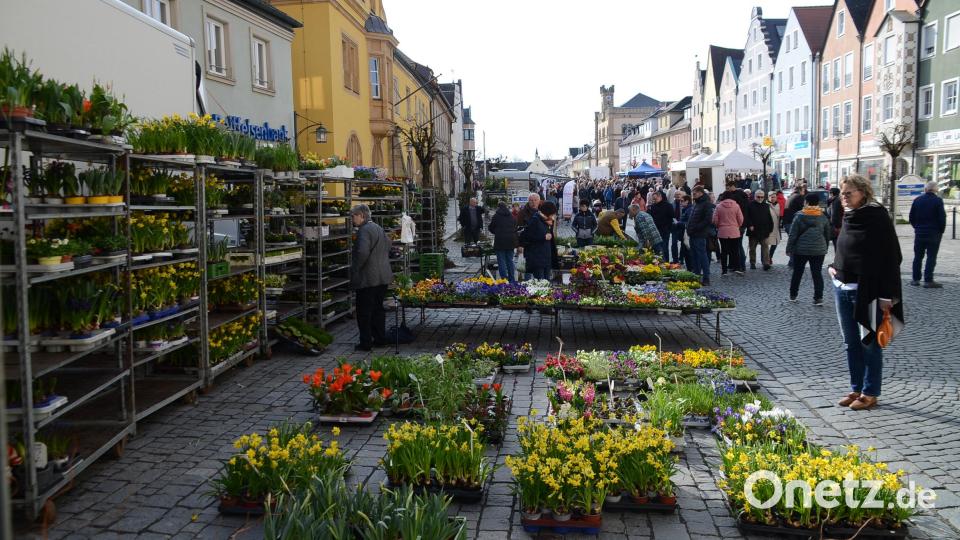 Pflanzen standen bei den Marktbesuchern hoch im Kurs. Bild: ak