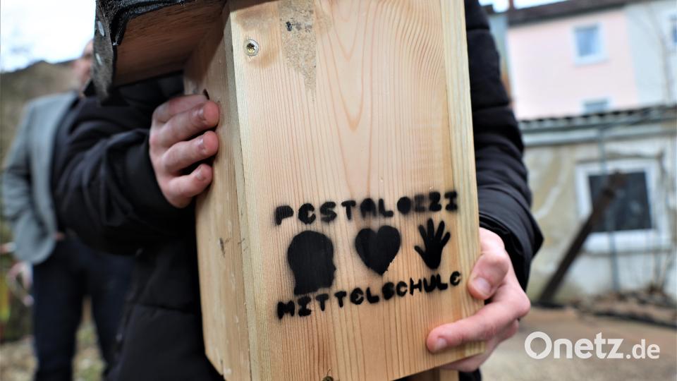 Pestalozzischüler bauen Nistkästen für Vögel im Stadtgebiet Bild: Pressestelle Stadt Weiden i.d.OPf./exb