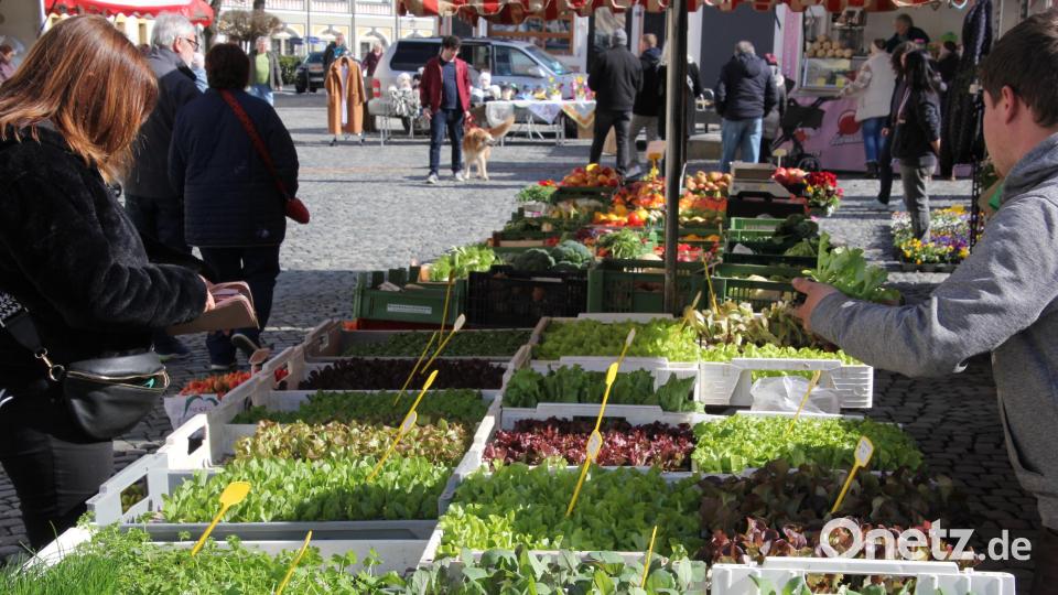 Pflanzen aller Art waren beim Josefimarkt in Waldsassen heiß begehrt. Bild: kro