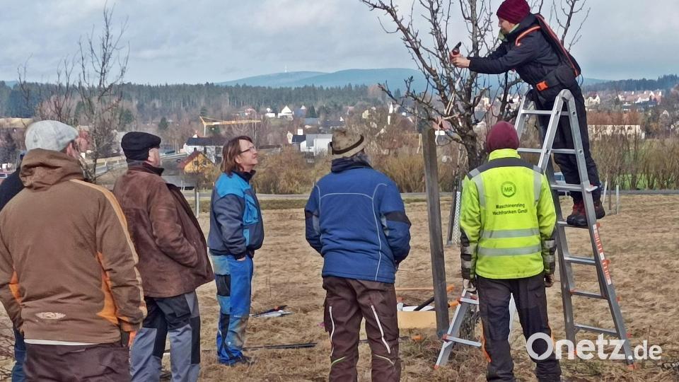Bei einem Baumschnittkurs in Brand gab es für die Teilnehmer viele Informationen – zunächst in der Theorie, später dann auch in der Praxis. Bild: ld/exb
