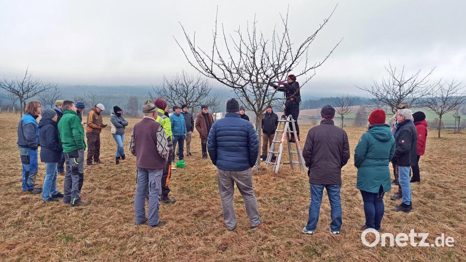 Bei einem Baumschnittkurs in Brand gab es für die Teilnehmer viele Informationen – zunächst in der Theorie, später dann auch in der Praxis. Bild: ld/exb