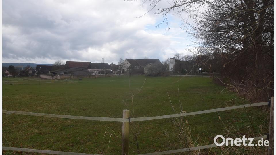 Vom Veitenweg aus gelegen zum Ortsrand hin, wird sich das neue Baugebiet "Aign" erstrecken Bild: fz