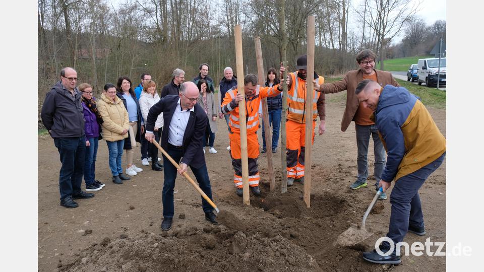 Eine stattliche Buche soll in der künftigen Blühwiese zwischen dem Sommerleitenweg und dem Eschenbachlauf an Kämmerer Karl Stopfer erinnern. An der Pflanzaktion nahm die gesamte VG-Verwaltung mit den Bürgermeistern der Mitgliedsgemeinden teil. Bild: do