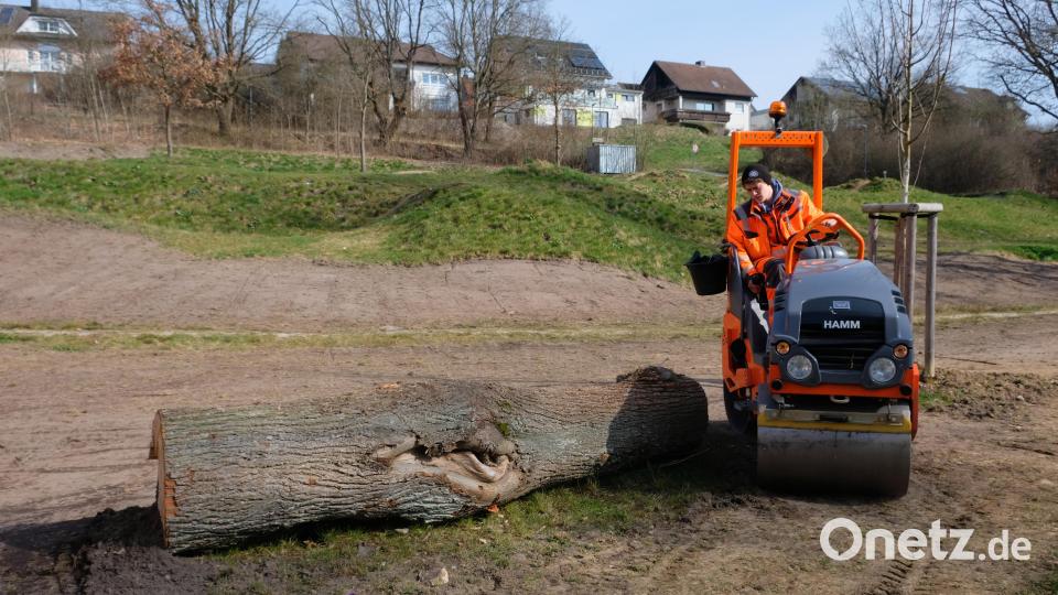 &quot;Unordentliche&quot; Flächen sollen sich vor dem Pumptruck-Rundkurs zu einer naturnahen und insektenfreundlichen Landschaft entwickeln. Zusätzlich schaffen alte Baumstämme je nach Zersetzungsgrad Eiablagen für verschiedene Käfersorten und Wildbienen. Um die Anlage und Pflege kümmert sich der städtische Bauhof. Bild: do