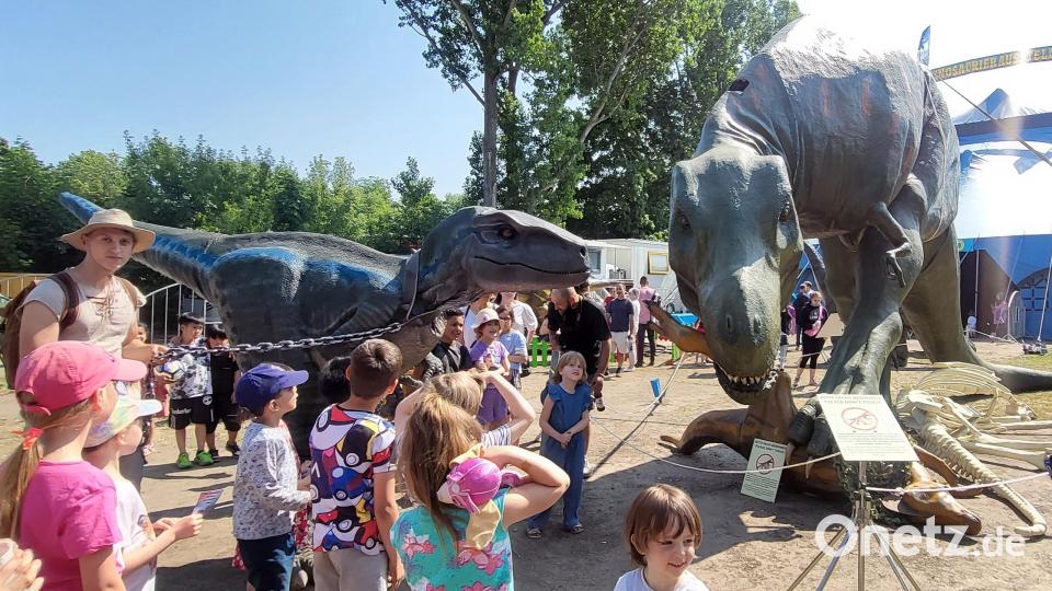Der Jurassic Freizeit Park lässt die Giganten der Urwelt wieder zum Leben erwecken. Bild: Jaline Schmidt/exb