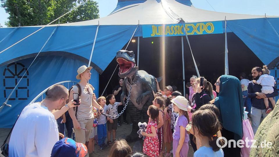 Der Jurassic Freizeit Park lässt die Giganten der Urwelt wieder zum Leben erwecken. Bild: Jaline Schmidt/exb