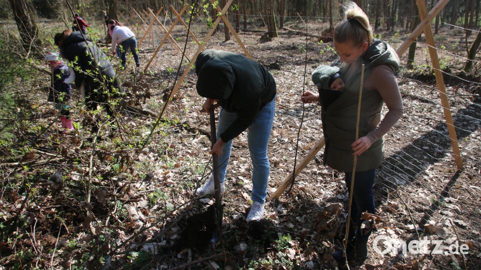 &quot;Eine Super Aktion&quot;, findet Christina Römisch. Sohn Damian zeigt noch wenig Interesse am seinem Baum, den Papa Marcel Pfab setzt. Bild: sne