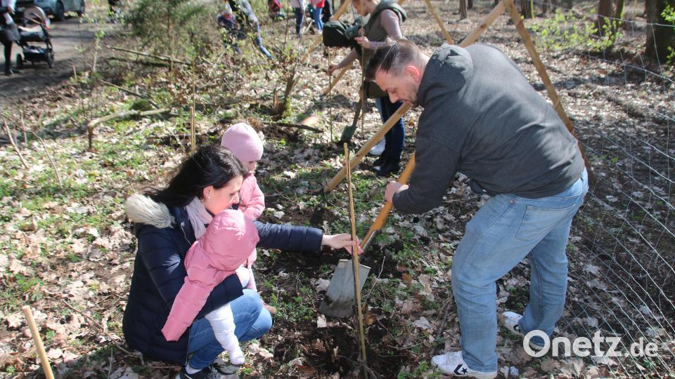 Alexandra und Andreas Voith pflanzen Wildapfel für die Töchter Marie und Sophia. &quot;Ein schönes Andenken&quot;, finden sie. Bild: sne