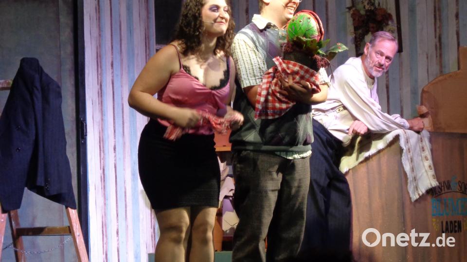 Seymour (Florian Wein, Mitte) rettet mit seiner neuen Pflanze den Blumenladen, rechts Ladeninhaber Mushnik (Bernhard Beer) und links Angestellte Audrey (Selina Zeitler). Bild: amö