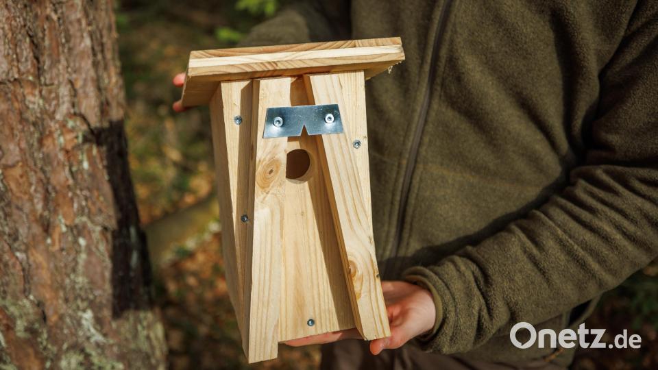 Ein Nistkasten für den Gartenschläfer. Bild: Martin Hertel/exb