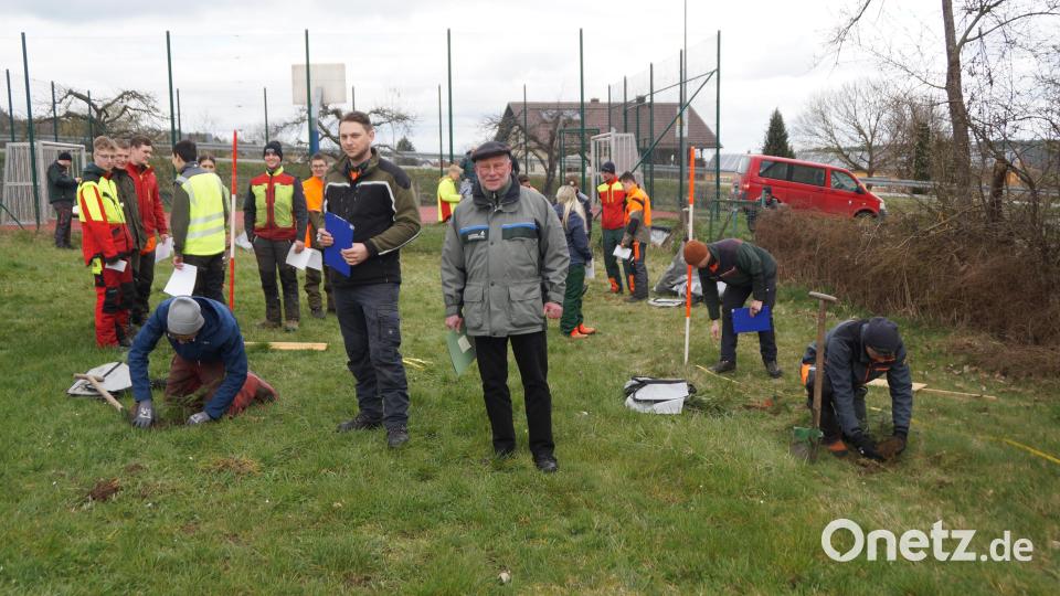 Forstdirektor Alwin Kleber verfolgt den Wettbewerb, hier die Pflanzung der Fichtensetzlinge. Bild: wel