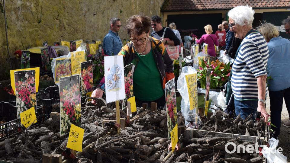 Nahezu jeder Wunsch konnte erfüllt werden. Bild: bnr