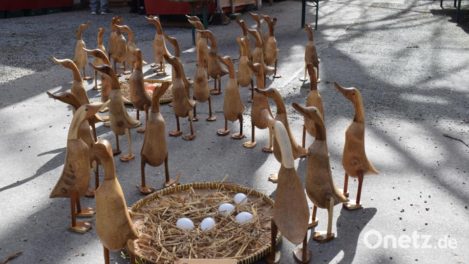 Die lustigen Enten finden viele Bewunderer. Bild: bnr