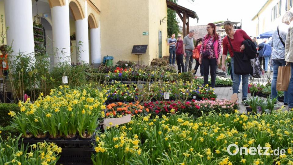 Eine große Auswahl an Blumen empfängt die Besucher auf dem Schlossgelände. Bild: bnr