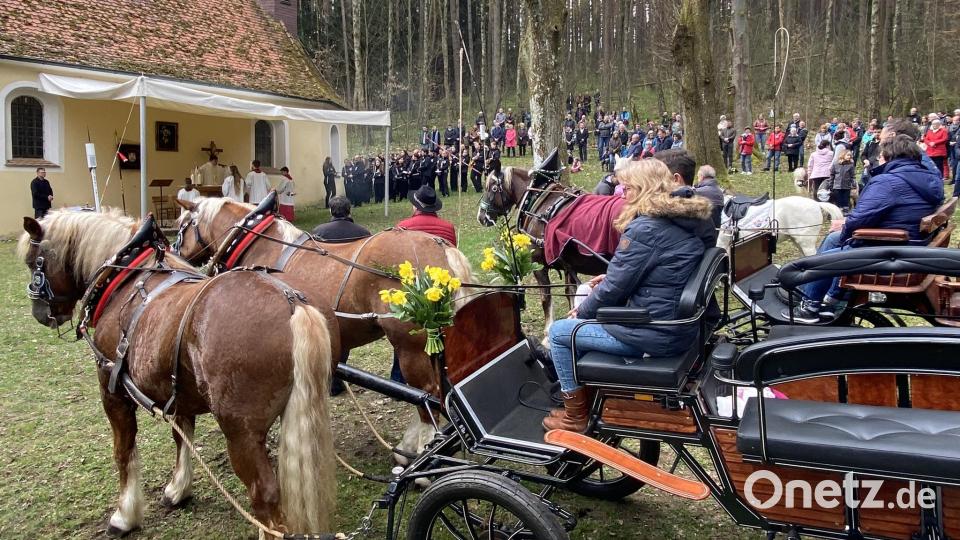 Erste Anzeichen des Frühlings mitten im Wald - zumindest als Blumenschmuck an den Kutschen. Bild: aub