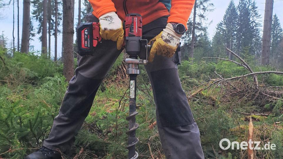 Erdbohrer erleichterten das Einbringen der neuen Baumarten in den Waldboden. Bild: Sophia Sackmann/exb