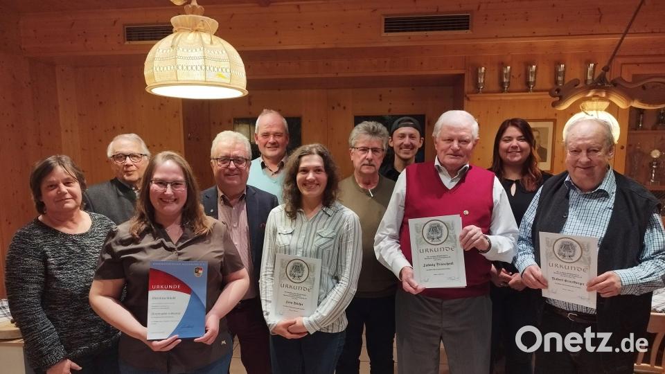 Der Musikverein würdigte verdiente Mitglieder: Im Bild von links Dritte Bürgermeisterin Lisa Rauh, Kreisvorsitzender Dieter Dendorfer, Christina Stöckl, Bürgermeister Toni Dutz, Gottfried Härtl, Lena Bächer, Wolfgang Braun, Andreas Stöckl, Ludwig Prieschenk, Theresa Dötterl-Franz, Robert Ernstberger. Bild: Musikverein Wiesau/exb