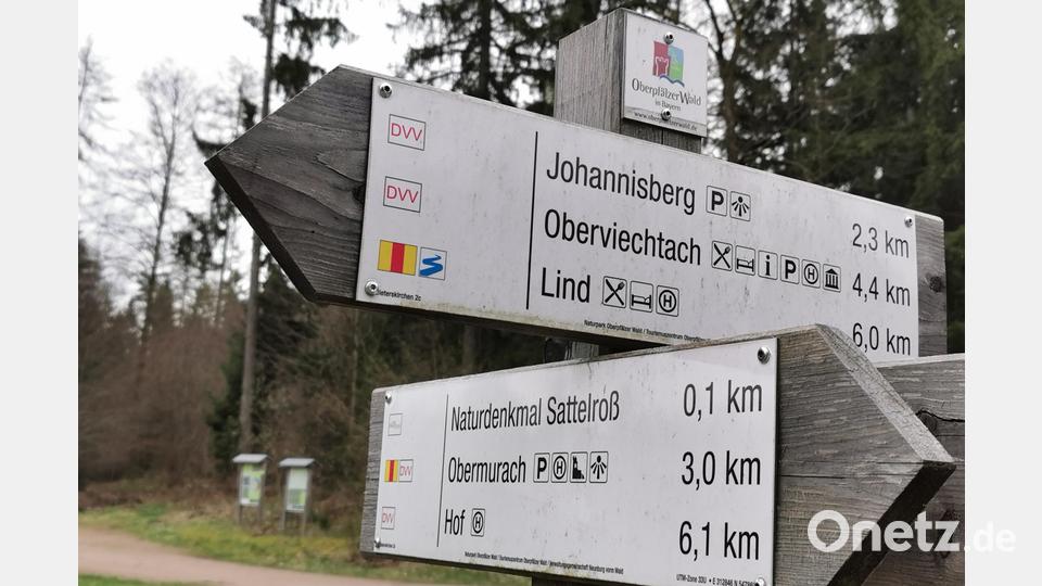 Verbindungsweg zwischen Goldsteig und Nurtschweg bei Niesaß (Stadt Oberviechtach). Bild: Portner
