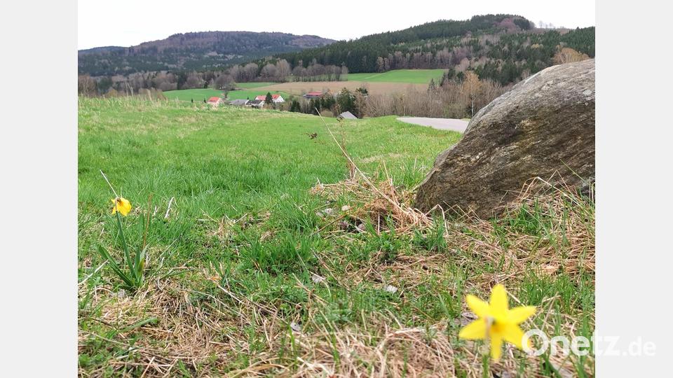 Talwärts mit Frühlingsblick auf Lindau. Bild: Portner