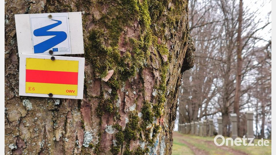 In Stadlern führen der Nurtschweg (gelb-rot-gelb) und der Goldsteig-Verbindungsweg (blau-weiß) am Kreuzweg vorbei. Bild: Portner