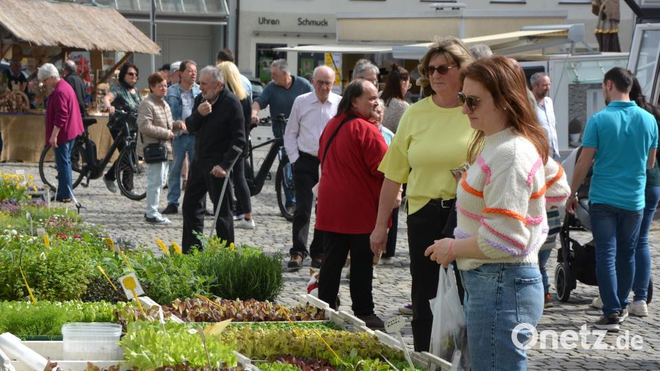 Beim Ostermarkt in Mitterteich war einiges los. Bild: jr