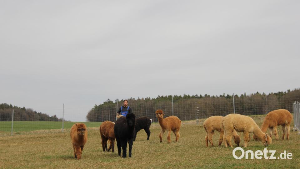 Michael Spangler bei der Pflege der Tiere . Bild: ads