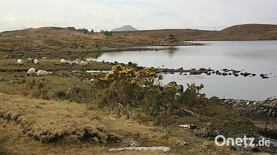 Connemara Bild: rgr
