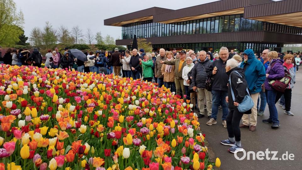 Ausflugstripp des Gesellschaft Frohsinn Bild: whü
