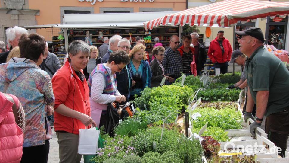 Kräuter und Gewürzpflanzen waren heiß begehrt. Bild: kro