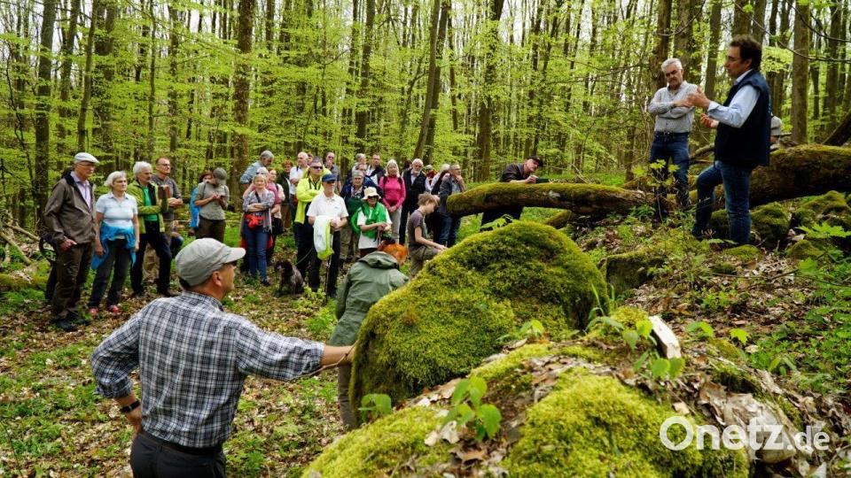 Vor dem Festakt erkundeten viele Mitglieder und Interessierte den Teichelberg. Bild: ubb