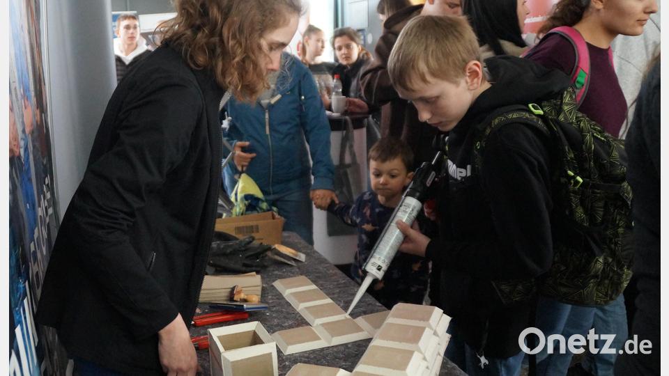 Mit Silikon einen Würfel aus Gipskartonplatten zusammenbauen macht Spaß und vermittelt erste Einblicke in den Beruf. Bild: wel