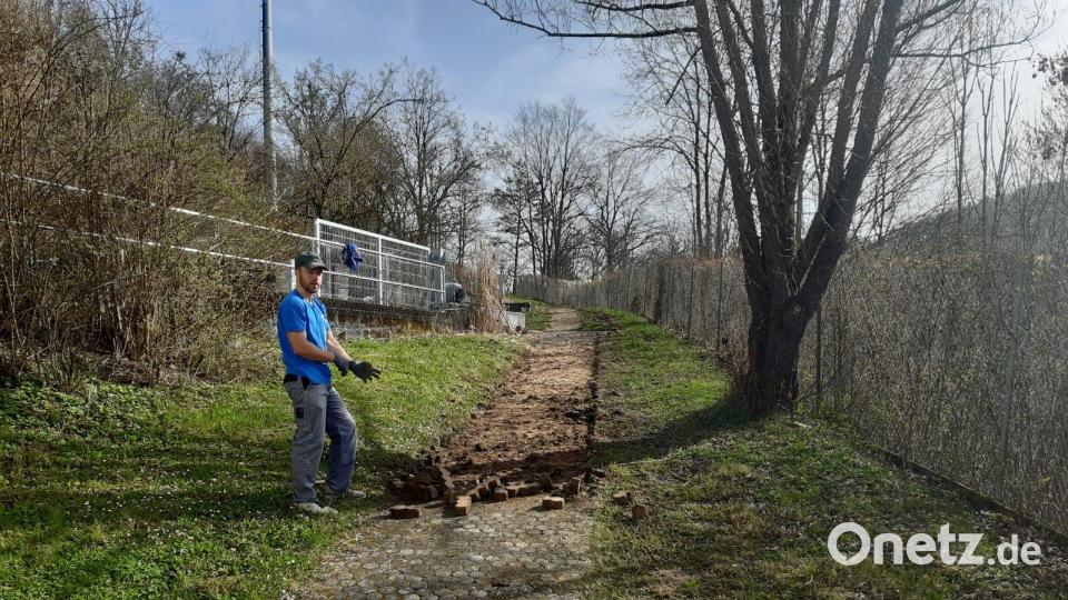 Wegeflächen werden wieder hergerichtet. Bild: lei