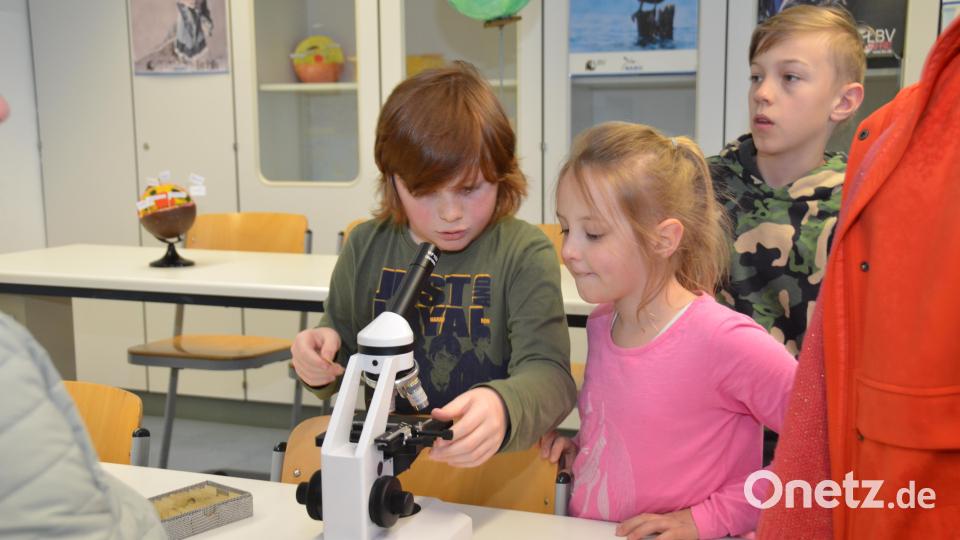 &quot;Schau Du zuerst.&quot; Einmal einen Blick durch das Mikroskop werfen, ist kein Problem am Tag der offenen Tür in der Realschule. Bild: dob