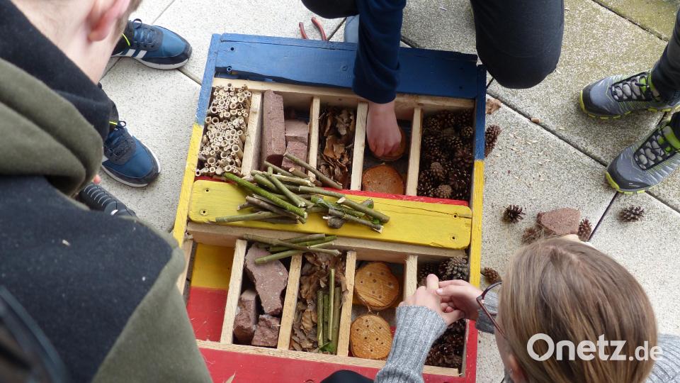 Zur &quot;72-Stunden-Aktion&quot; bastelte eine Gruppe der Erbendorfer Ministranten ein Insektenhotel. Bild: Pfarrer Martin Besold/exb