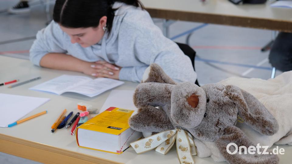 Maskottchen dienten als süße Prüfungshelfer Bild: do