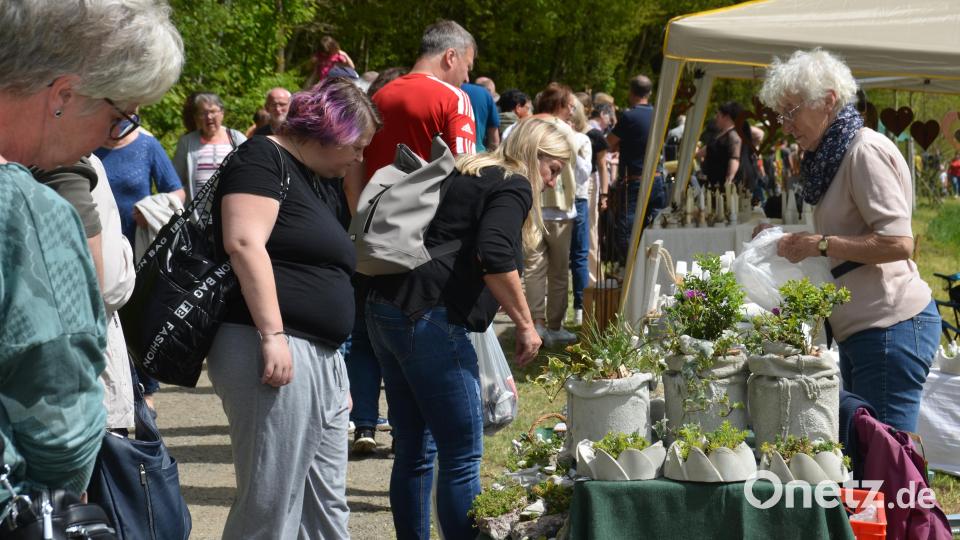 Einen richtigen Bilderbuchsonntag erlebten die Besucher beim Gartenmarkt im romantischen Gruberbachtal. Die Freude der Teilnehmer war jedenfalls sehr groß. Es war ein richtiges Paradies für Garten- und Balkonbesitzer. Bild: dob