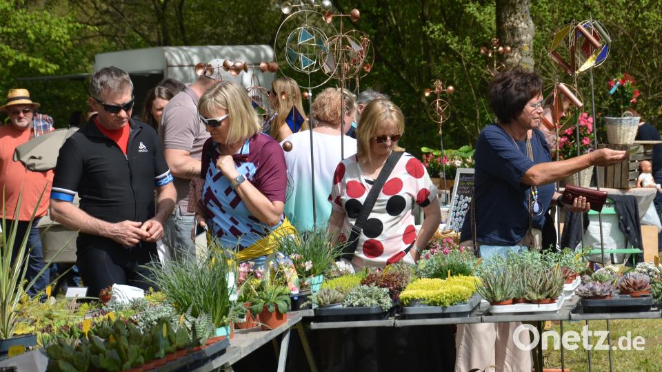 Einen richtigen Bilderbuchsonntag erlebten die Besucher beim Gartenmarkt im romantischen Gruberbachtal. Die Freude der Teilnehmer war jedenfalls sehr groß. Es war ein richtiges Paradies für Garten- und Balkonbesitzer. Bild: dob