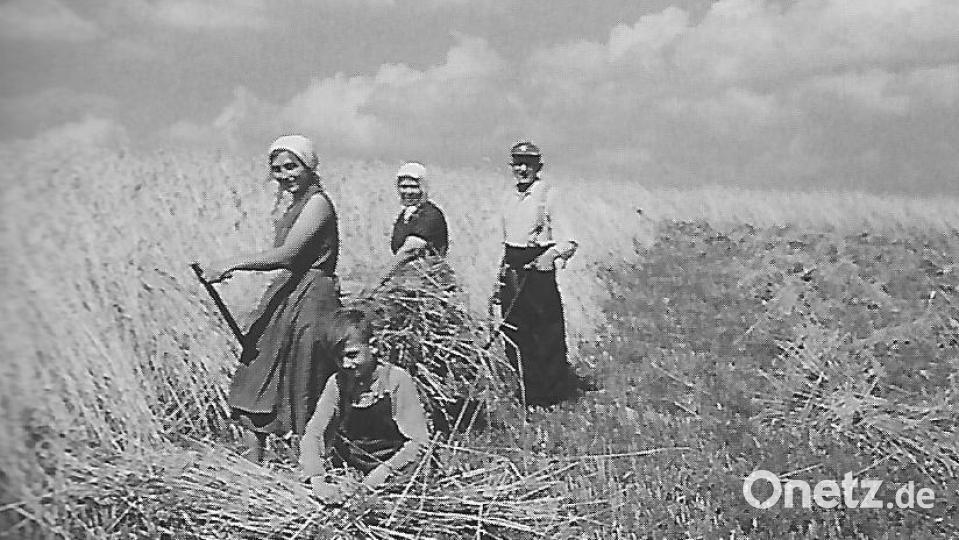 Der frühere Pfarrer Jakob Bayerschmidt fotografierte die Familie Pirkl aus Edelsfeld beim Kornmähen ohne die Hilfe von Maschinen. Bild: Jakob Bayerschmidt/exb