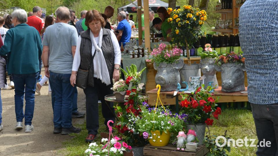 Einen richtigen Bilderbuchsonntag erlebten die Besucher beim Gartenmarkt im romantischen Gruberbachtal. Die Freude der Teilnehmer war jedenfalls sehr groß. Es war ein richtiges Paradies für Garten- und Balkonbesitzer. Bild: dob