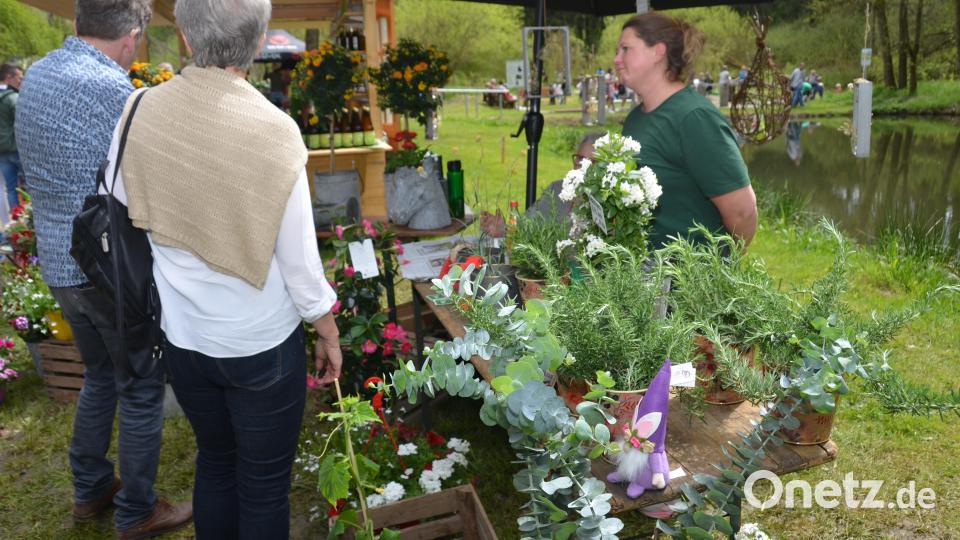 Einen richtigen Bilderbuchsonntag erlebten die Besucher beim Gartenmarkt im romantischen Gruberbachtal. Die Freude der Teilnehmer war jedenfalls sehr groß. Es war ein richtiges Paradies für Garten- und Balkonbesitzer. Bild: dob