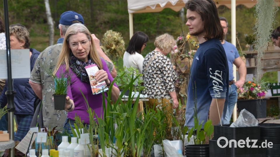 Einen richtigen Bilderbuchsonntag erlebten die Besucher beim Gartenmarkt im romantischen Gruberbachtal. Die Freude der Teilnehmer war jedenfalls sehr groß. Es war ein richtiges Paradies für Garten- und Balkonbesitzer. Bild: dob