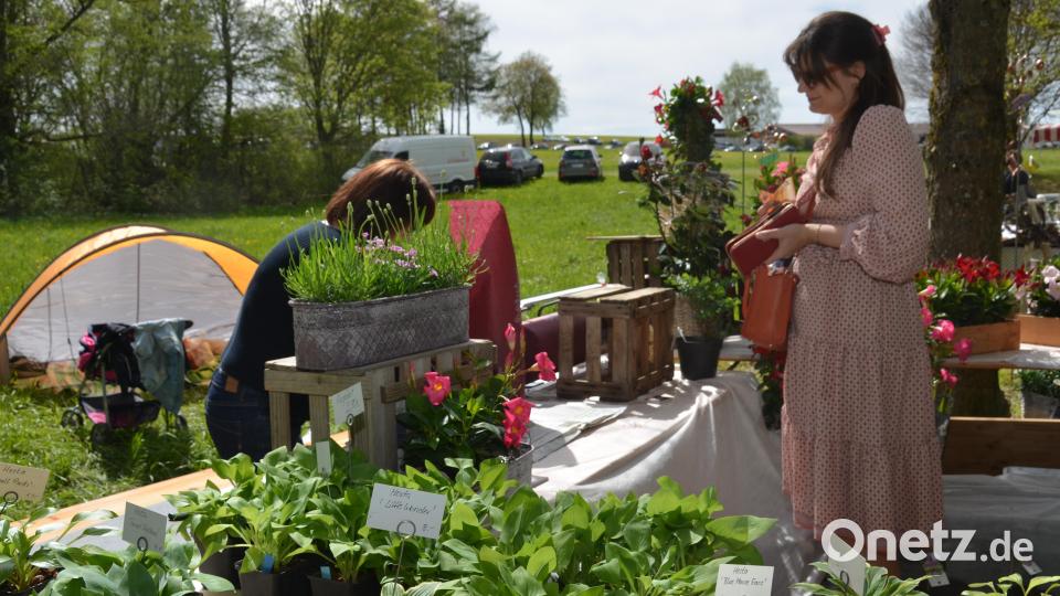 Einen richtigen Bilderbuchsonntag erlebten die Besucher beim Gartenmarkt im romantischen Gruberbachtal. Die Freude der Teilnehmer war jedenfalls sehr groß. Es war ein richtiges Paradies für Garten- und Balkonbesitzer. Bild: dob
