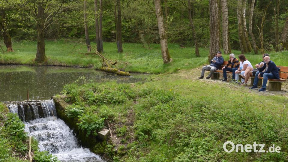 Abseits der Gartenmarktstrecke ließ es sich richtig gut ausspannen und das plätschernde Glucksen des Gruberbachs genießen. Bild: dob